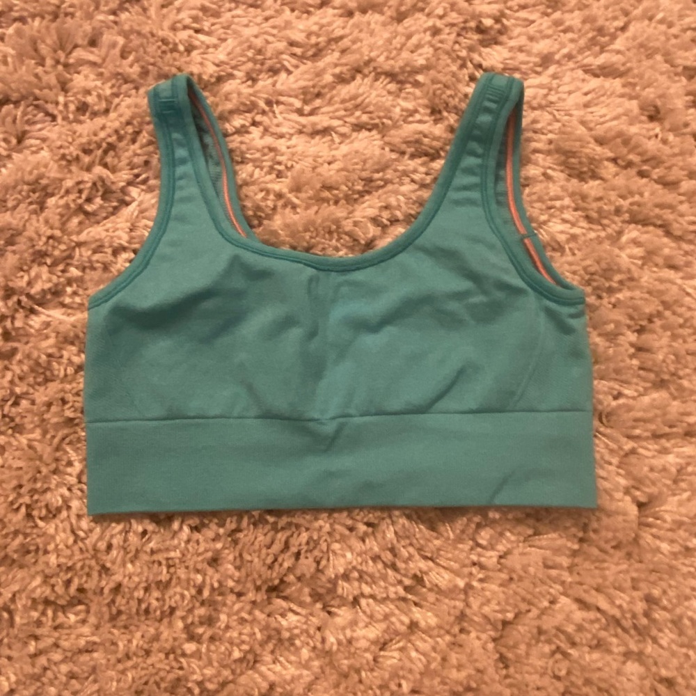 blue ivivva sports bra